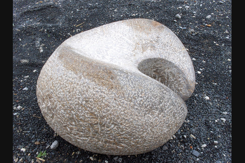 Würgel, Muschelkalk (Kernstein), FH Coburg, 2009 Ansicht 4